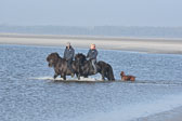 St-Peter-Ording-11-12-_168.jpg