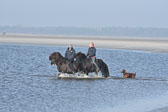 St-Peter-Ording-11-12-_169.jpg