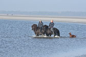 St-Peter-Ording-11-12-_170.jpg