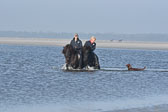 St-Peter-Ording-11-12-_178.jpg