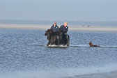 St-Peter-Ording-11-12-_179.jpg