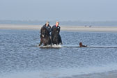 St-Peter-Ording-11-12-_181.jpg