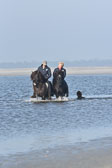 St-Peter-Ording-11-12-_183.jpg
