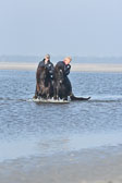 St-Peter-Ording-11-12-_189.jpg