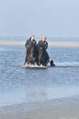 St-Peter-Ording-11-12-_191.jpg
