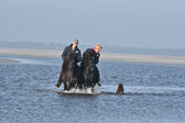 St-Peter-Ording-11-12-_194.jpg