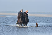 St-Peter-Ording-11-12-_197.jpg