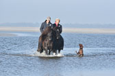 St-Peter-Ording-11-12-_199.jpg
