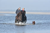 St Peter Ording 11+12
