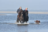 St-Peter-Ording-11-12-_201.jpg