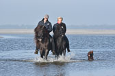 St-Peter-Ording-11-12-_205.jpg