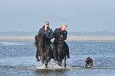 St-Peter-Ording-11-12-_206.jpg