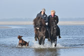St-Peter-Ording-11-12-_209.jpg