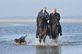 St-Peter-Ording-11-12-_210.jpg