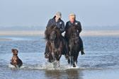 St-Peter-Ording-11-12-_212.jpg