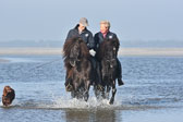 St-Peter-Ording-11-12-_213.jpg