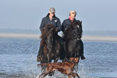 St-Peter-Ording-11-12-_219.jpg