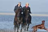 St-Peter-Ording-11-12-_220.jpg