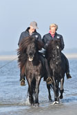 St-Peter-Ording-11-12-_222.jpg