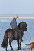 St-Peter-Ording-11-12-_230.jpg