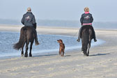 St-Peter-Ording-11-12-_231.jpg