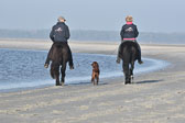 St Peter Ording 11+12