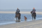 St-Peter-Ording-11-12-_233.jpg