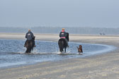 St-Peter-Ording-11-12-_235.jpg