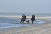 St-Peter-Ording-11-12-_236.jpg