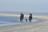 St-Peter-Ording-11-12-_237.jpg