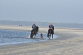 St-Peter-Ording-11-12-_238.jpg