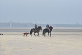 St-Peter-Ording-11-12-_240.jpg