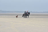 St-Peter-Ording-11-12-_241.jpg