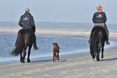 St-Peter-Ording-11-12-_244.jpg
