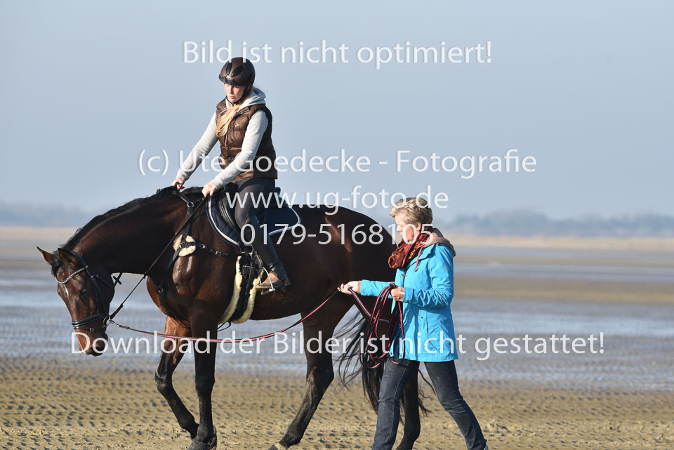 st-Peter-Ording-14_019.jpg