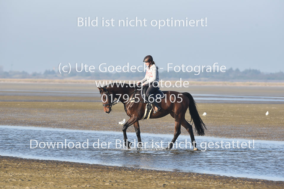 st-Peter-Ording-14_040.jpg