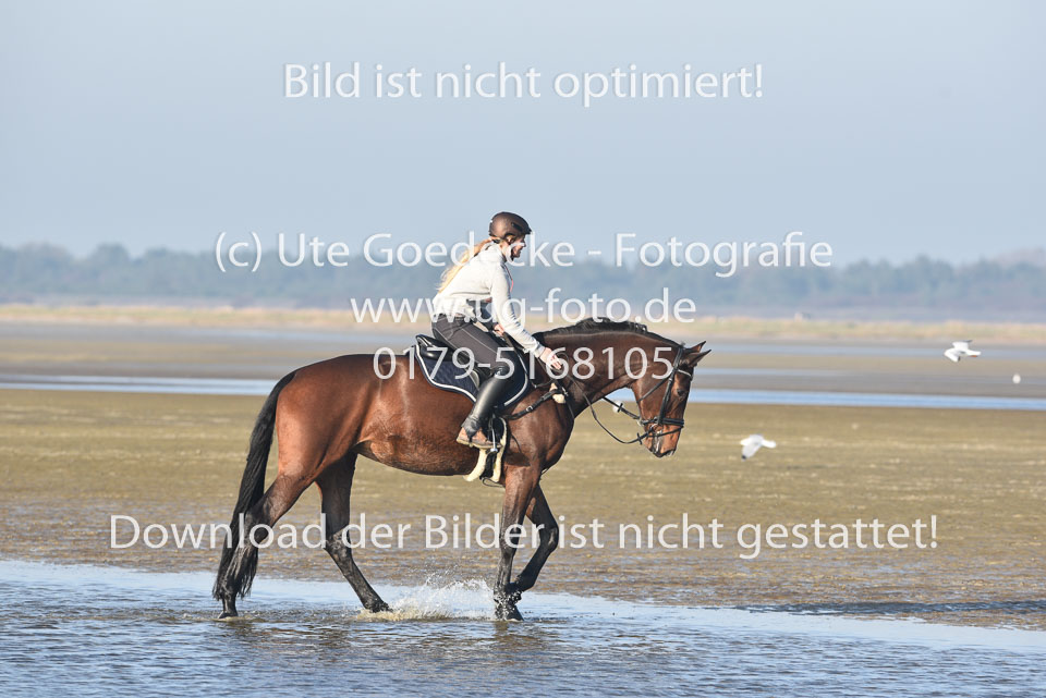 st-Peter-Ording-14_043.jpg