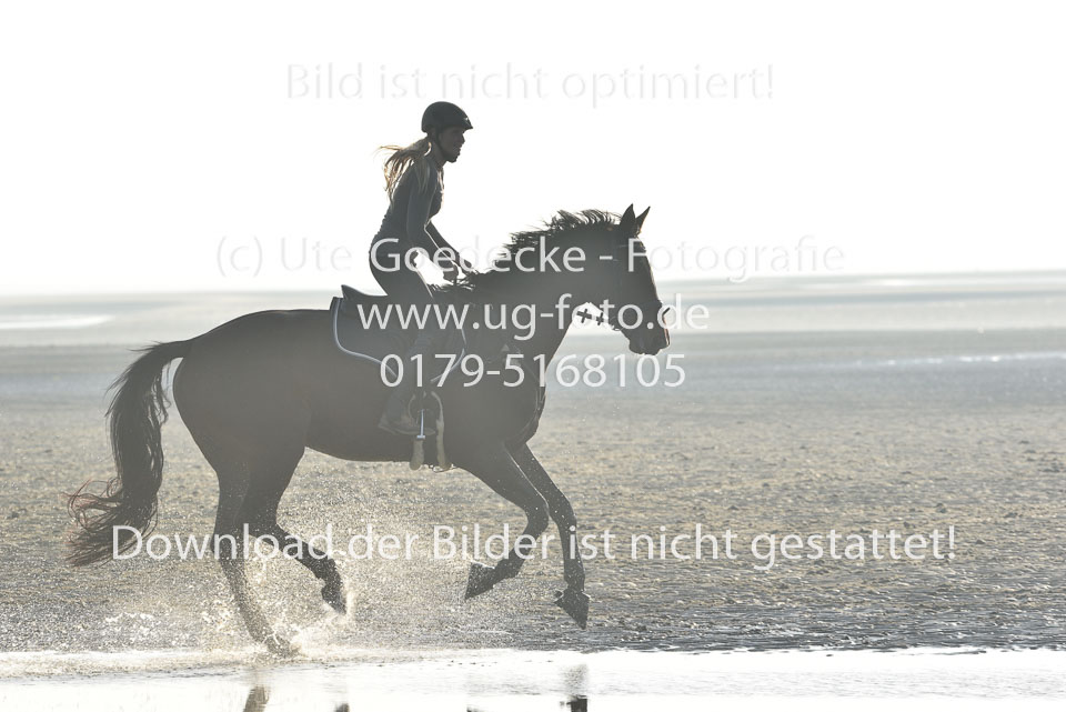 st-Peter-Ording-14_120.jpg