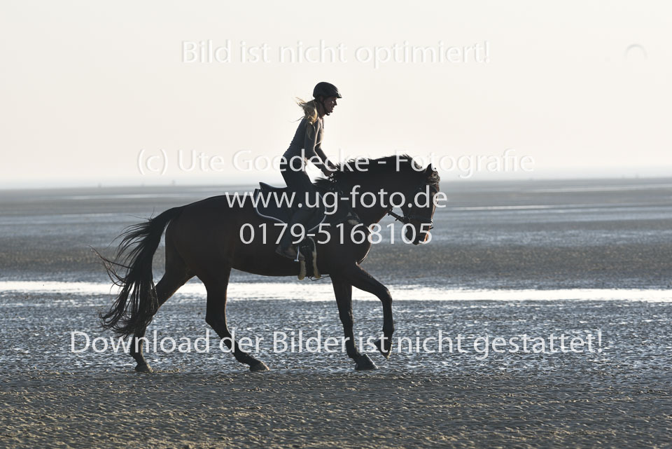 st-Peter-Ording-14_134.jpg