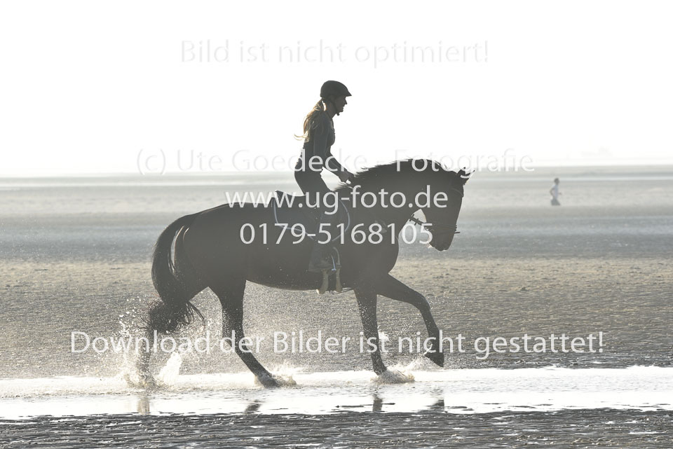 st-Peter-Ording-14_149.jpg