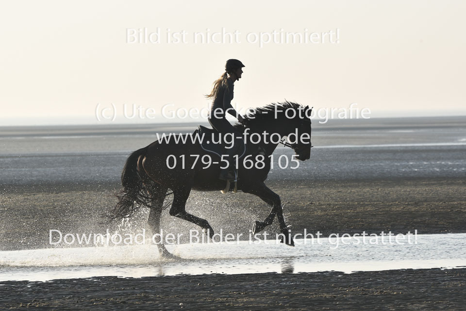 st-Peter-Ording-14_152.jpg