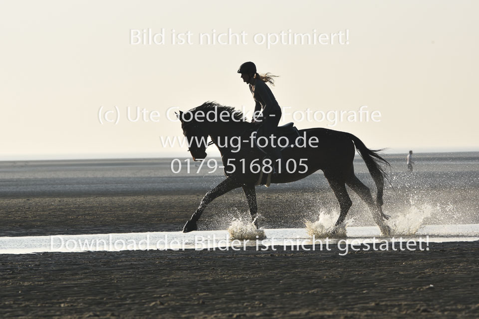 st-Peter-Ording-14_159.jpg
