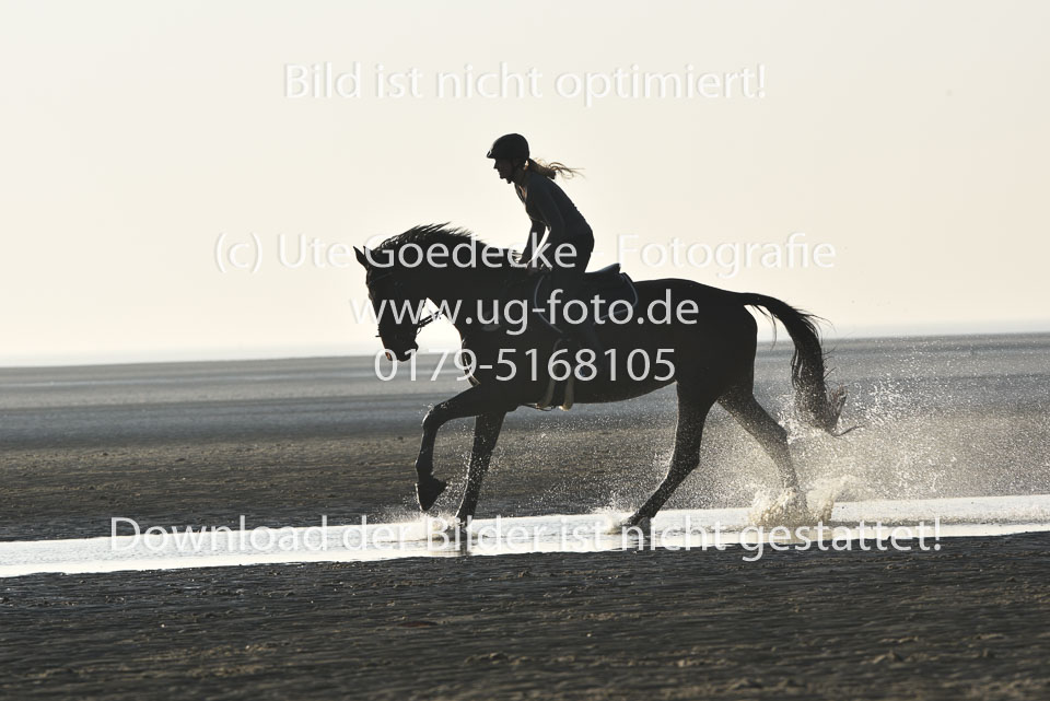 st-Peter-Ording-14_161.jpg