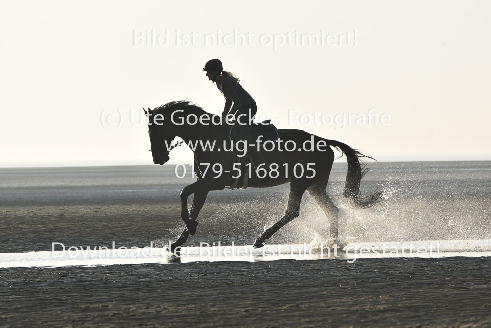 st-Peter-Ording-14_162.jpg