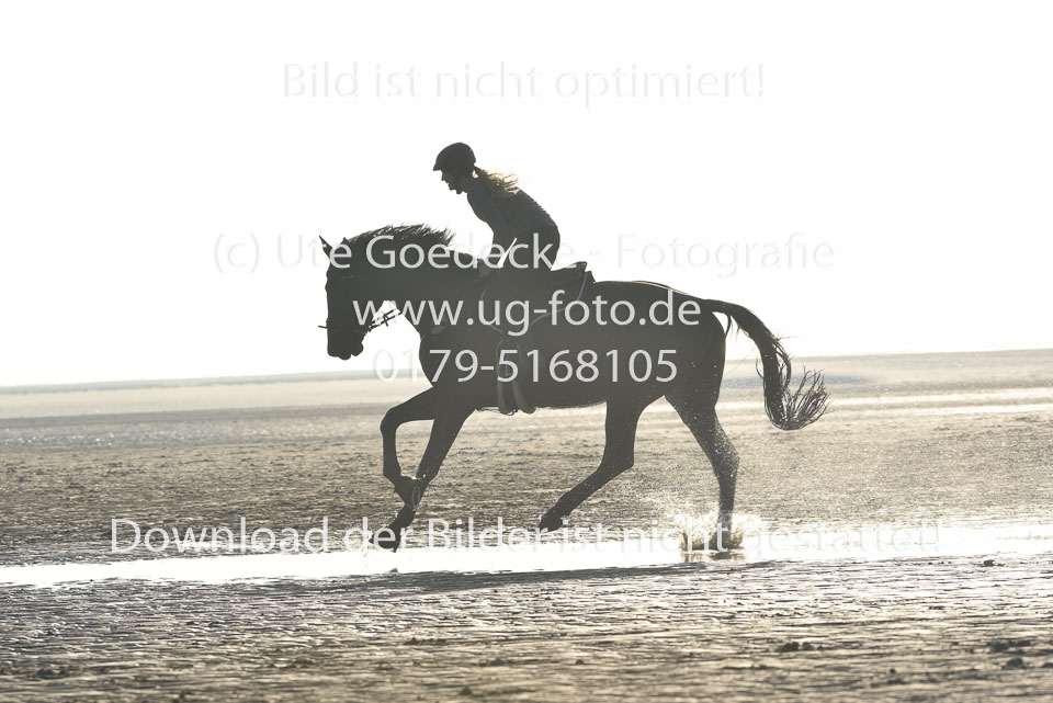 st-Peter-Ording-14_167.jpg