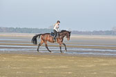 st-Peter-Ording-14_031.jpg