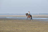 st-Peter-Ording-14_035.jpg
