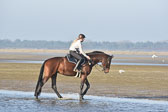 st-Peter-Ording-14_043.jpg