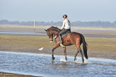 st-Peter-Ording-14_046.jpg