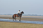 st-Peter-Ording-14_060.jpg